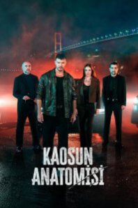 Анатомия хаоса