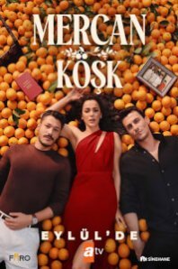  Коралловый особняк 