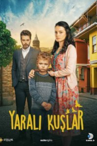 Раненые птицы