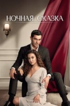 Ночная сказка