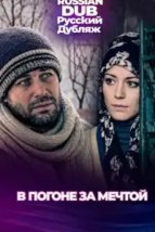  В погоне за мечтой 