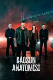 Анатомия хаоса