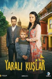 Раненые птицы