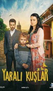 Раненые птицы